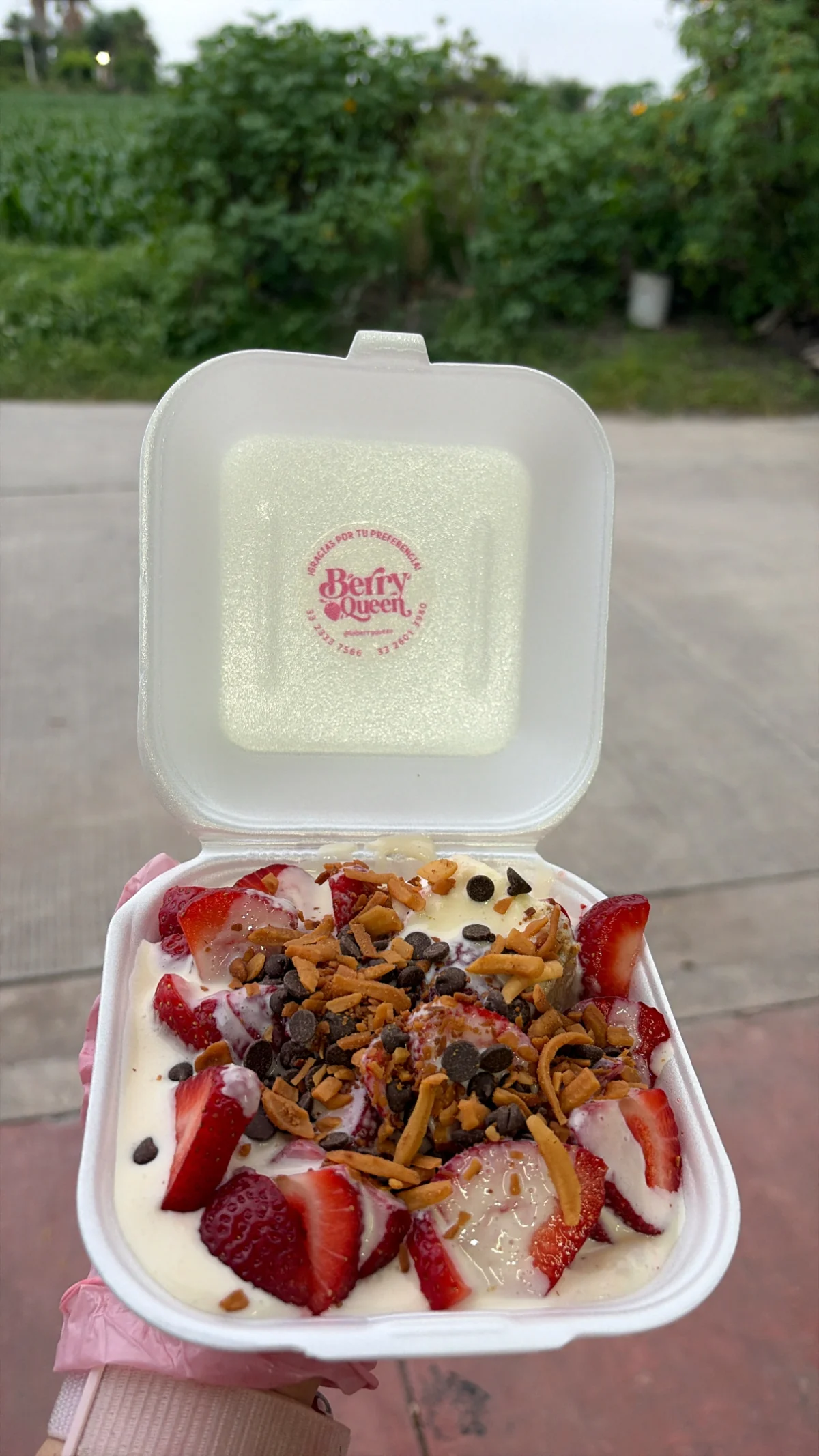 Fresa+Frutos